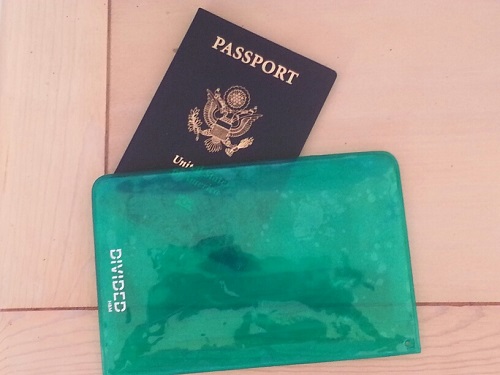 Passports that Pack A Punch Include U.S., U.K.