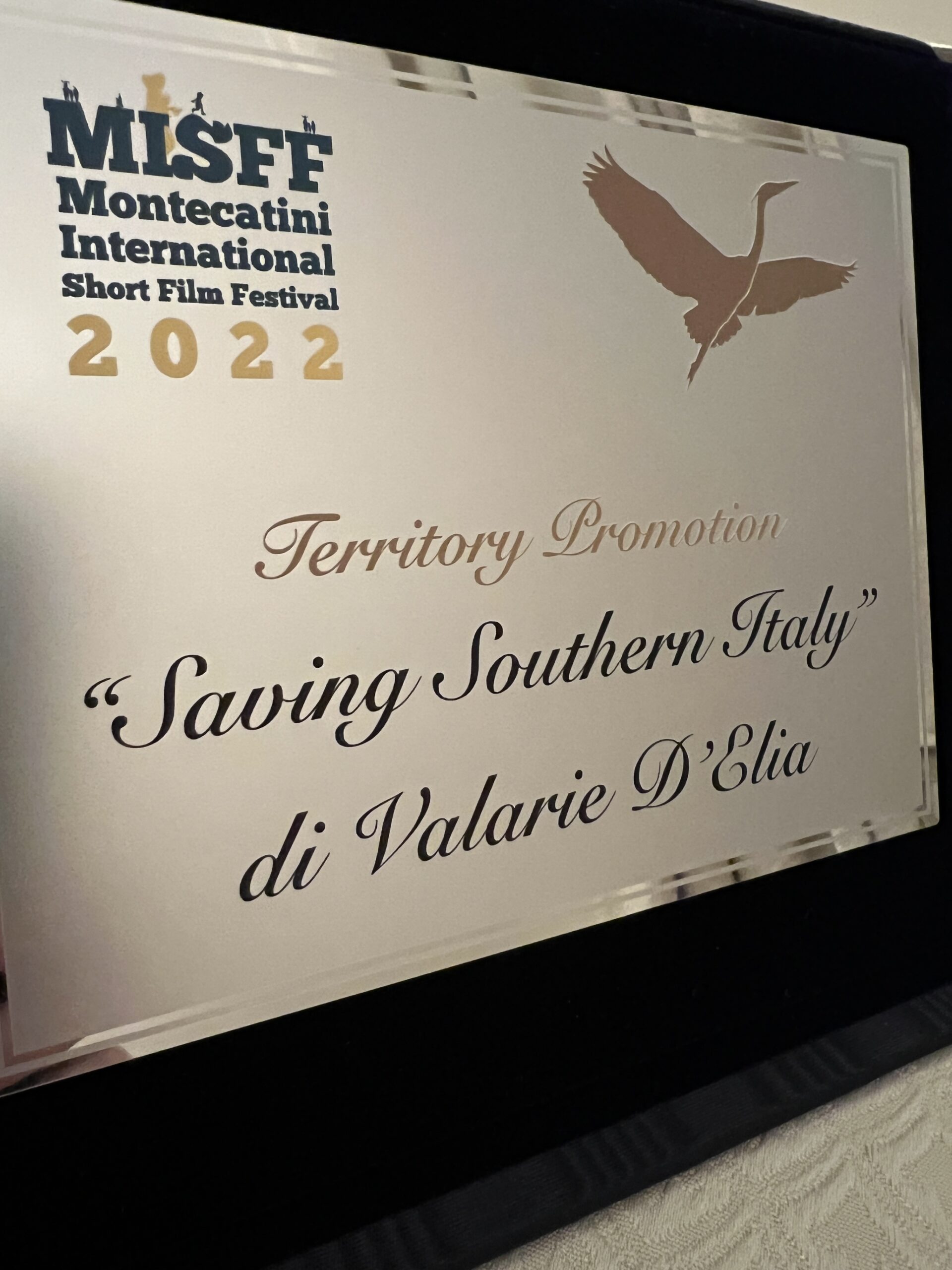 “Saving Southern Italy” Wins Two Awards at Montecatini Film Festival
